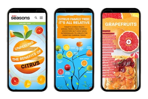 Three mobile phones displaying the contents of the Hy-Vee Seasons magazine digital experience.